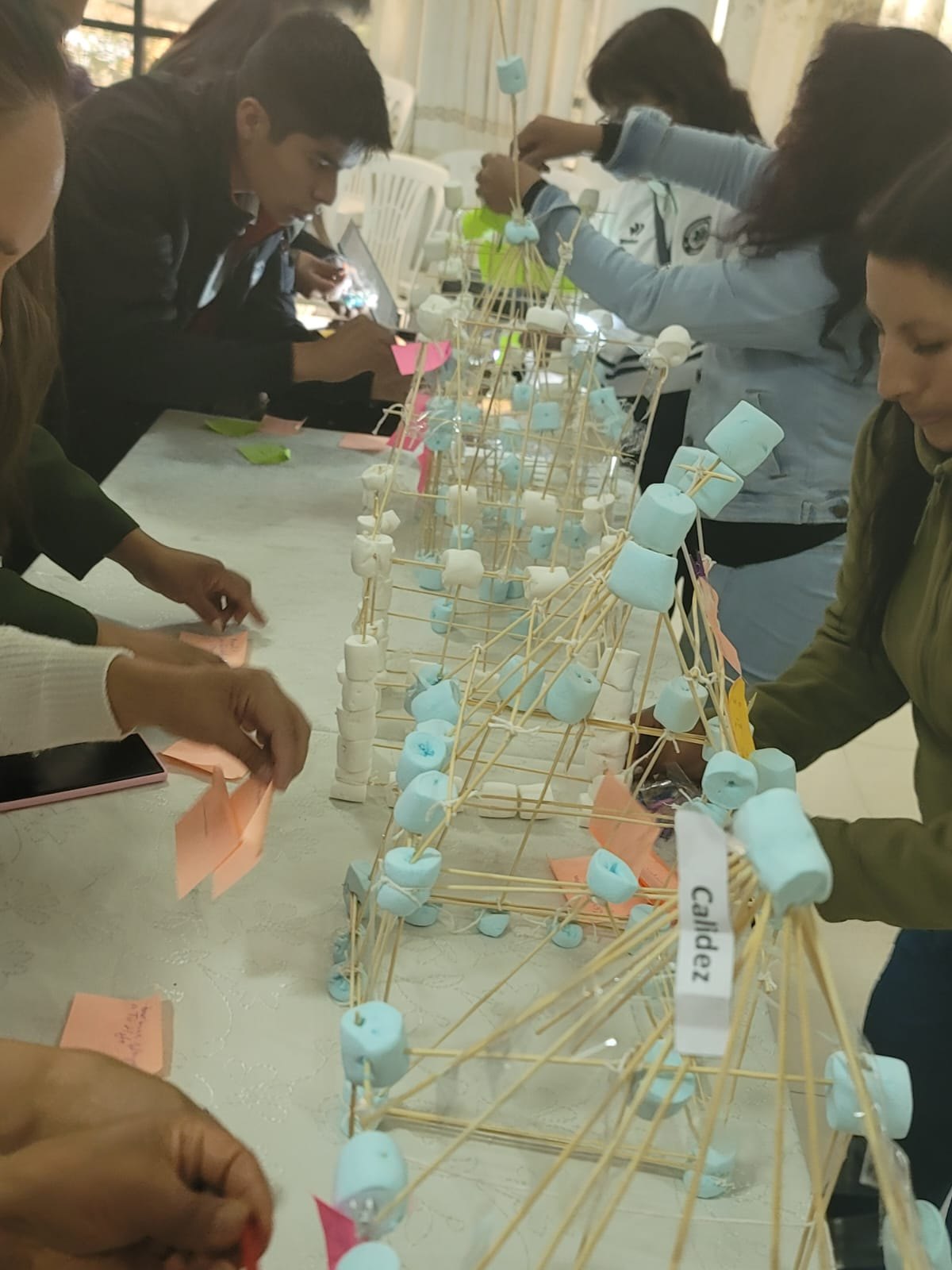 Experiencia vivencial de liderazgo y habilidades blandas